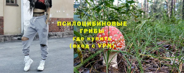 гидропоника Каменка