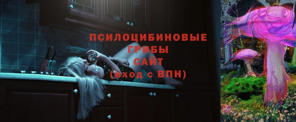 гидропоника Каменка