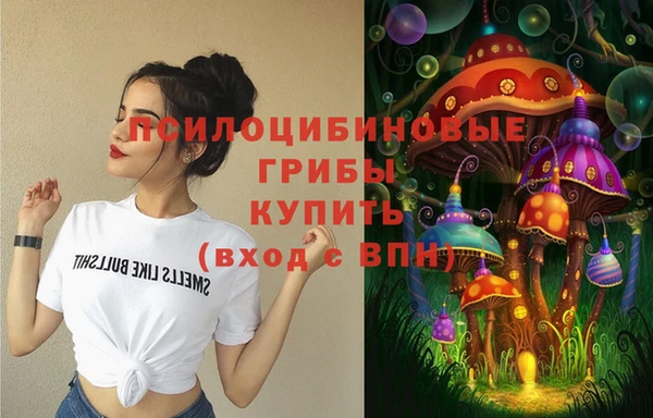 метадон Каменногорск