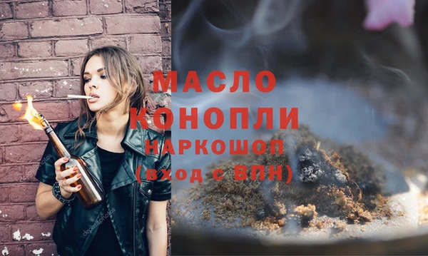 гидропоника Каменка