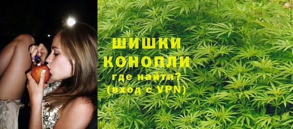 гидропоника Каменка
