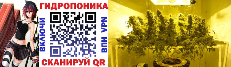 Купить закладки  Москва  Шишки марихуана план 